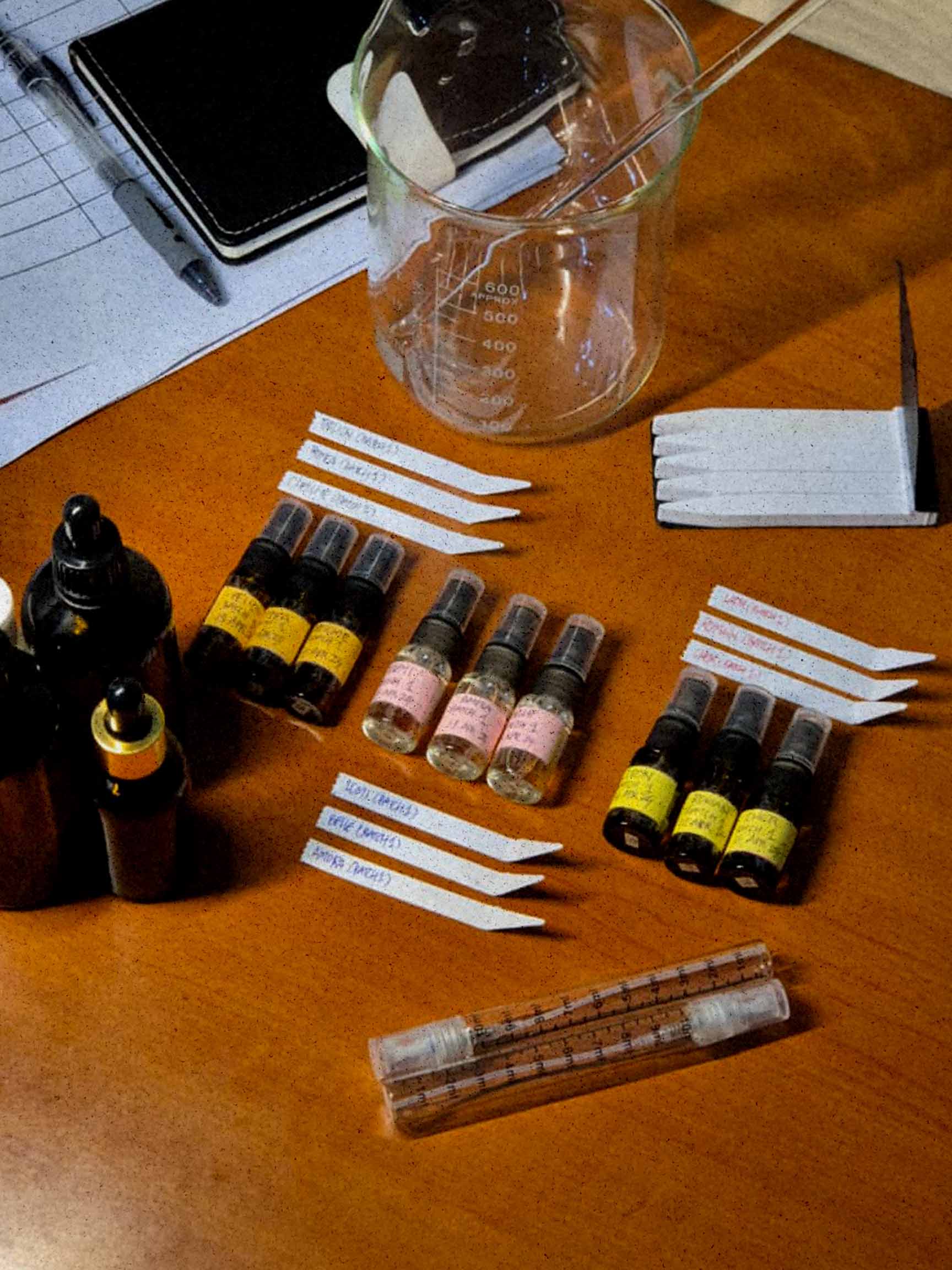Variasi 6